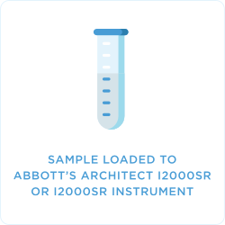 Rapid Antibody Test Rapid Antibody Test